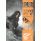 고영(1~6완)