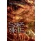 드래곤레이드(1~9완) 퓨전