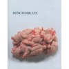 Dongwook LEE Breeding Pond(단편) 사진