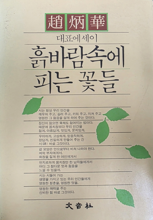 흙바람속에 피는 꽃들 - 조병화 에세이