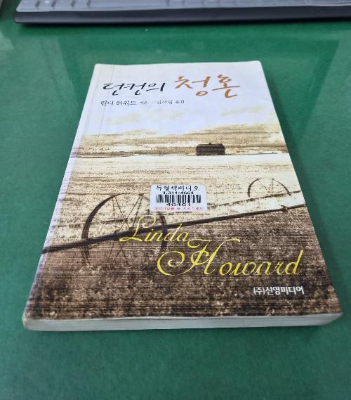 던컨의 청혼