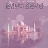 운명보다깊은사랑(단편)