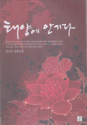태양에안기다(단편) 전선진