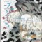 D.Gray-Man 디그레이맨(1~29)