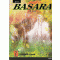 BASARA 바사라 완전판(1~16완)