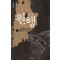 원행(단편) 오세영