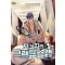 회귀자의 그랜드슬램 1-25 스포츠 판타지(미결)