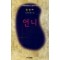 언니(단편)