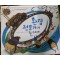 환경전문가가될테야(단편) 아동도서